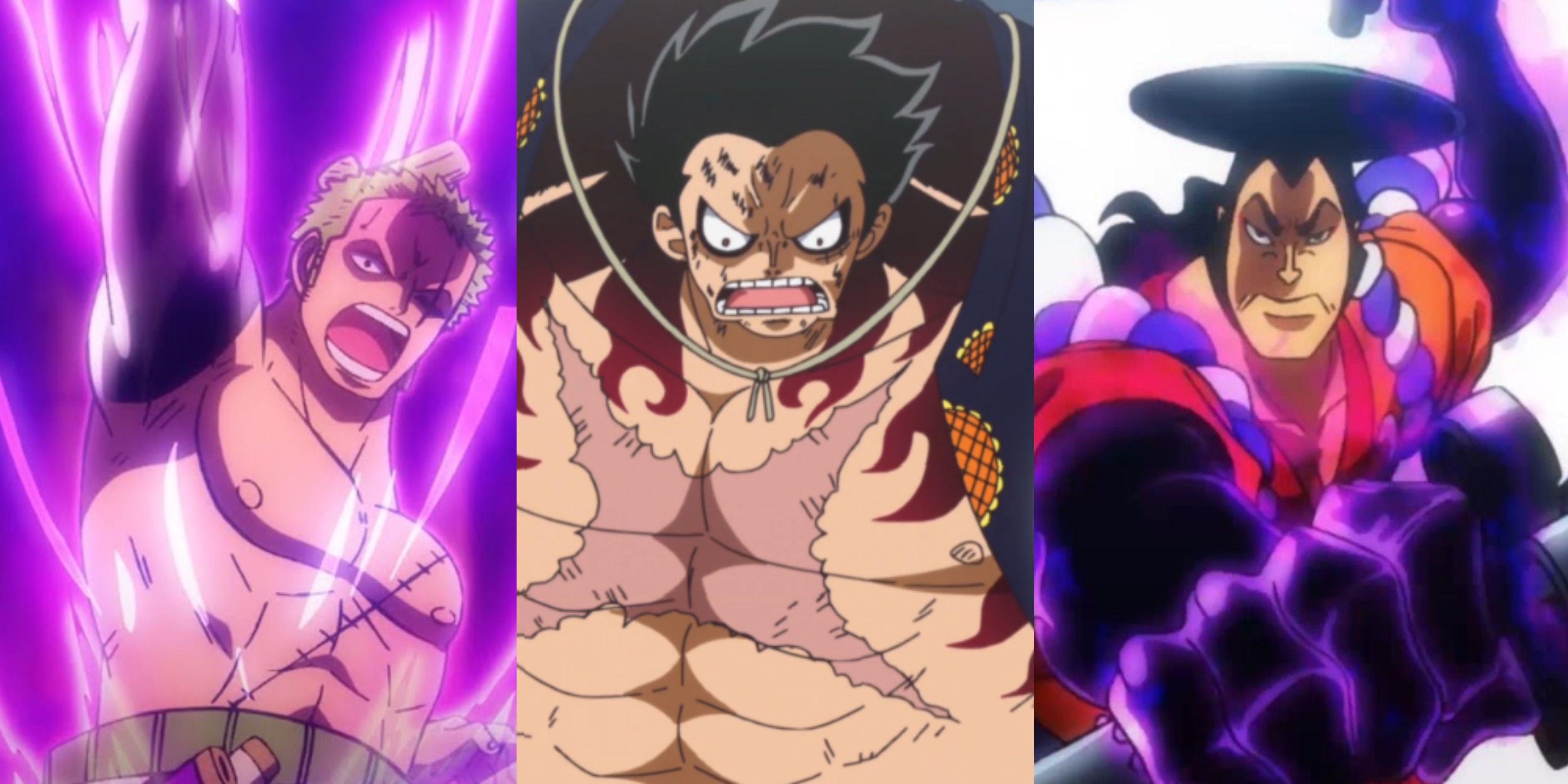 Haki Users One Piece