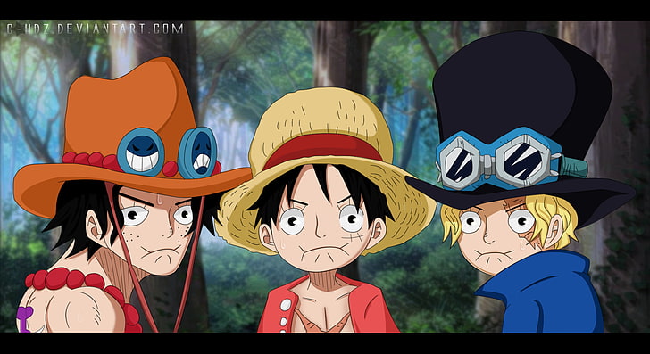 Luffy's extended family