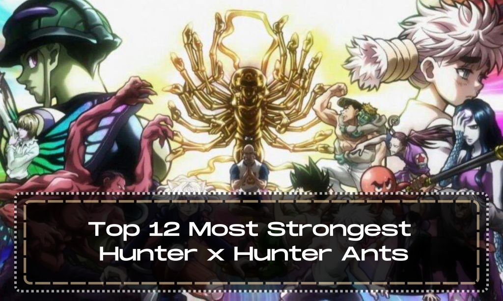 Top 12 Most Strongest Hunter x Hunter Ants