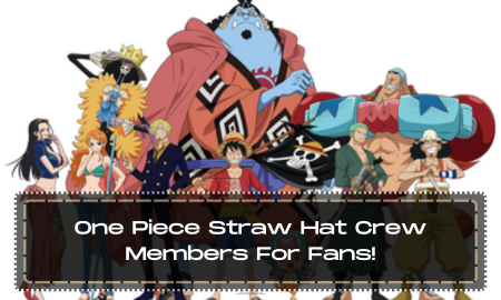 One Piece Straw Hat Crew Members For Fans!
